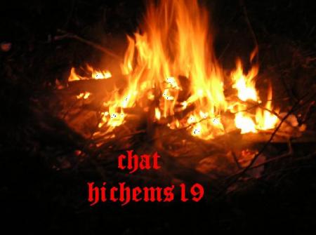 chat des fun du metal